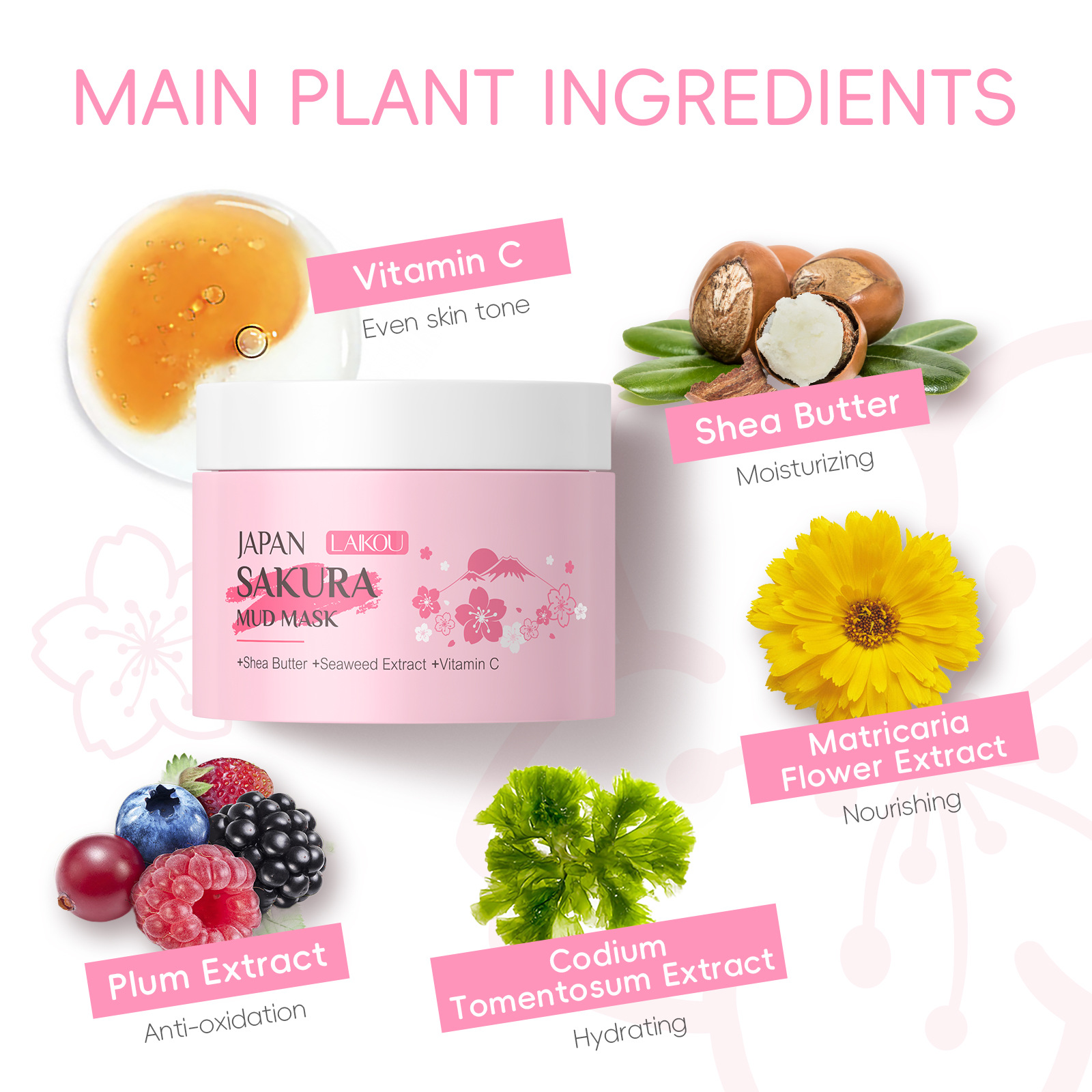 LAIKOU Sakura Clay Mask 25g 90 - Dust Mask Construction recensione e prezzo