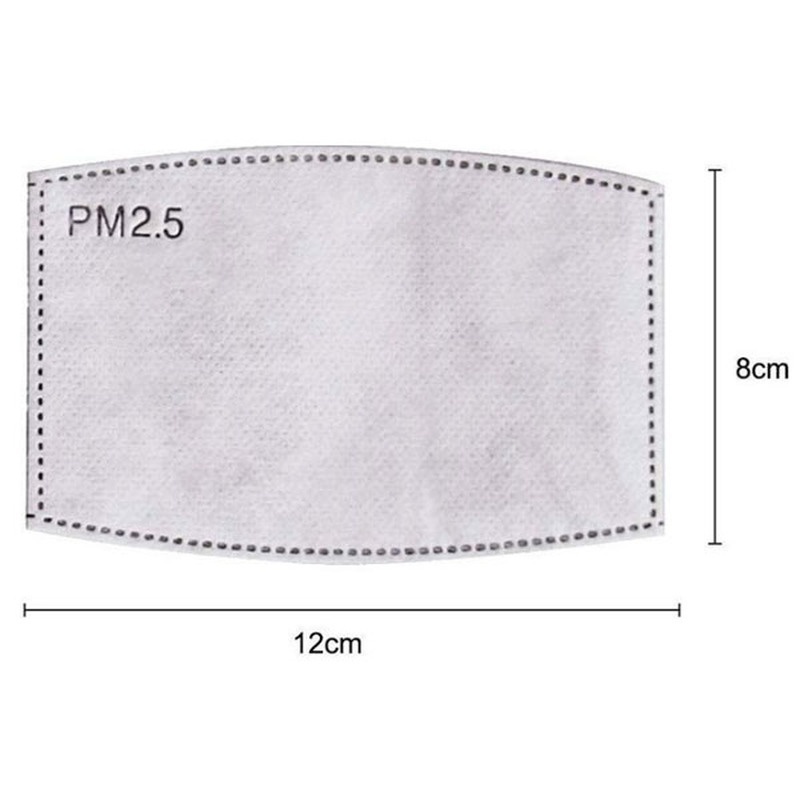2PCS Mask Filter Element PM2.5 - Pm2.5 Filter Insert recensione e prezzo